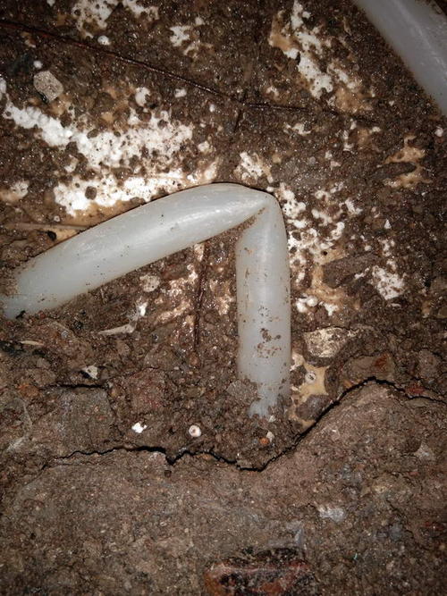 紫云堵点精准查找